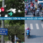 danh sach phuong tien bi phat nguoi loi vuot den do