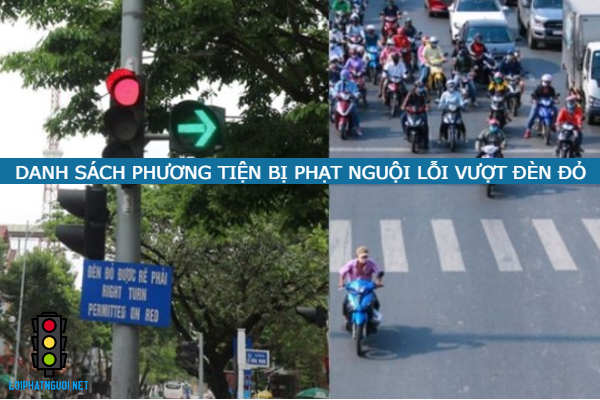 danh sach phuong tien bi phat nguoi loi vuot den do