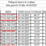 y nghia cua ky hieu v va tu trong danh sach phat nguoi